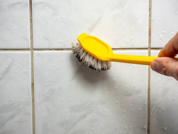 Best Commercial Mold Removal  in Mcconnellsburg, PA