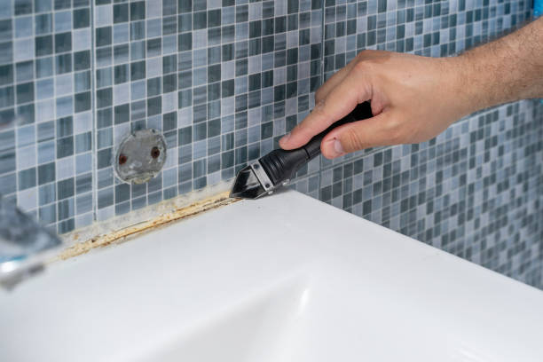 Best Certified Mold Removal  in Mcconnellsburg, PA