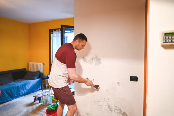 Best Black Mold Removal  in Mcconnellsburg, PA