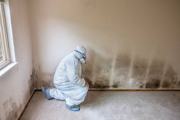 Best Crawl Space Mold Removal  in Mcconnellsburg, PA