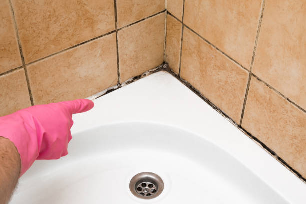 Best Mold Removal Company Near Me  in Mcconnellsburg, PA